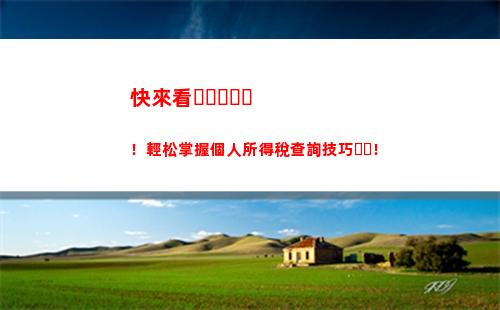 免費打印個稅清單，一鍵查詢你的稅費！